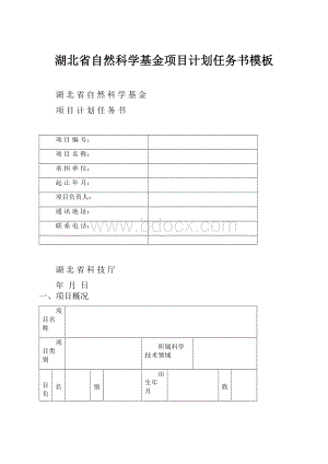 湖北省自然科学基金项目计划任务书模板.docx