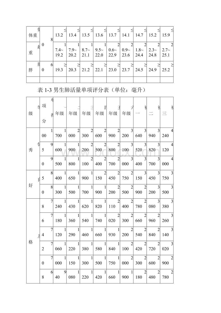 体质健康评定标准.docx_第2页