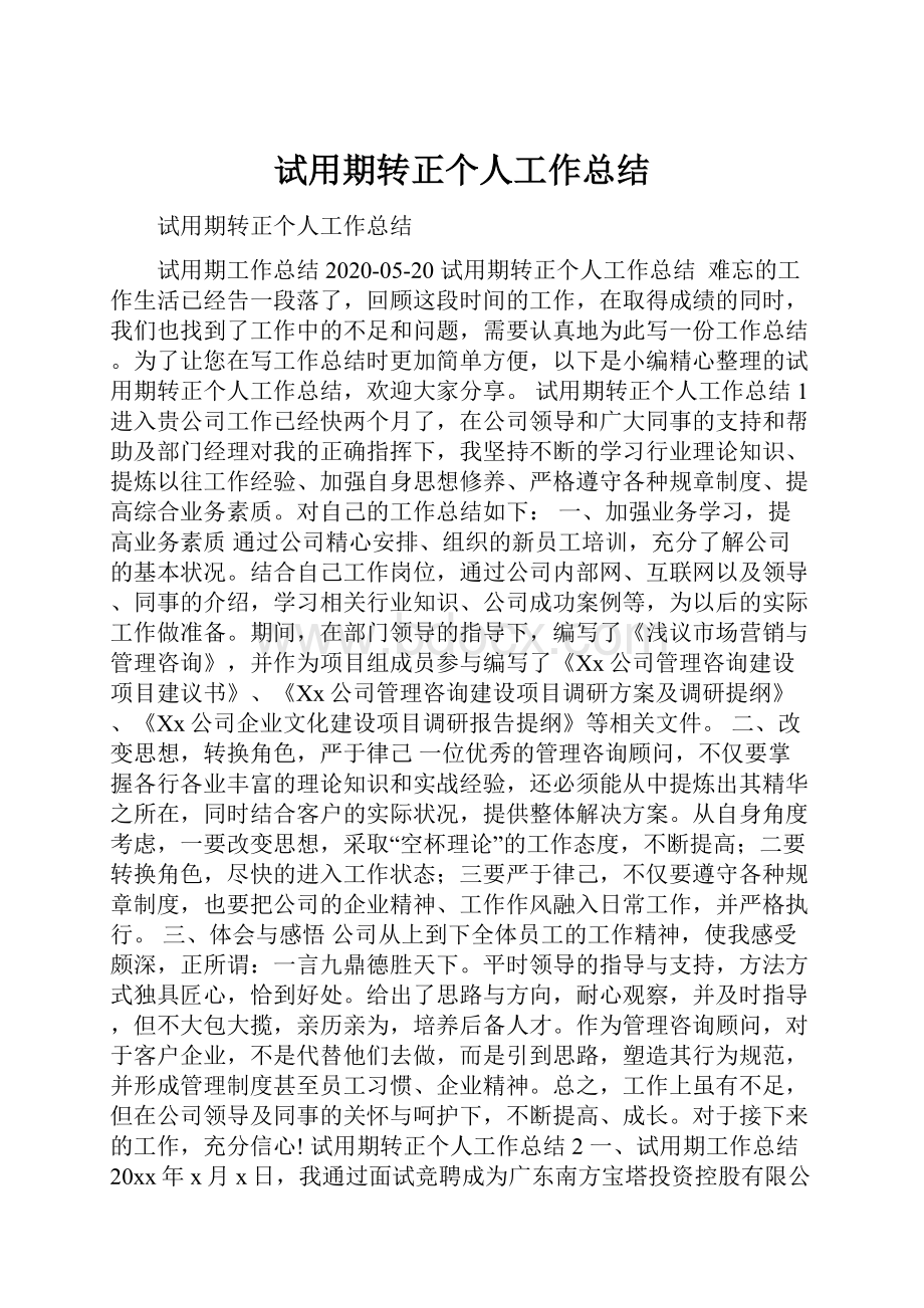 试用期转正个人工作总结.docx