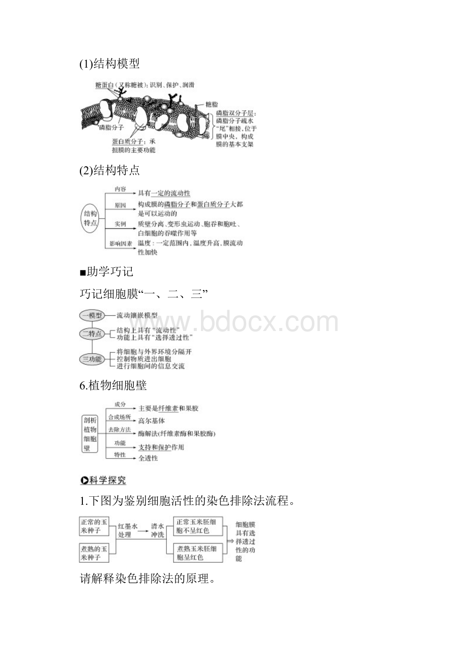 版高考生物第三单元细胞的新陈代谢第5讲细胞的物质运输功能学案中图版必修1.docx_第3页