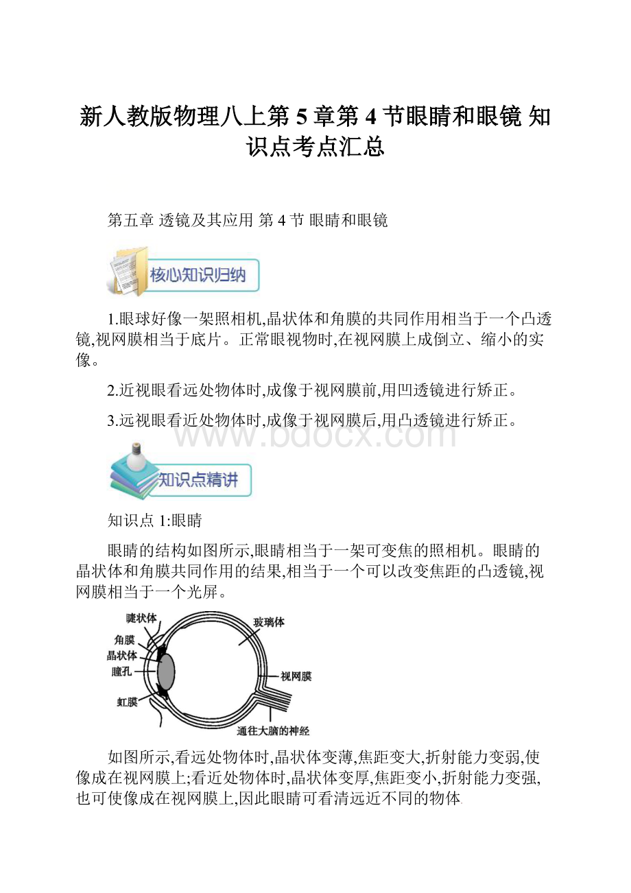 新人教版物理八上第5章第4节眼睛和眼镜 知识点考点汇总.docx