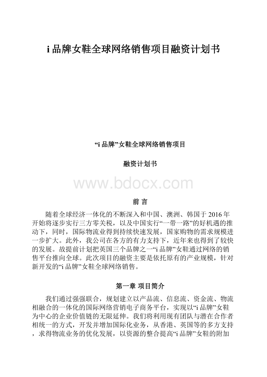 i品牌女鞋全球网络销售项目融资计划书.docx