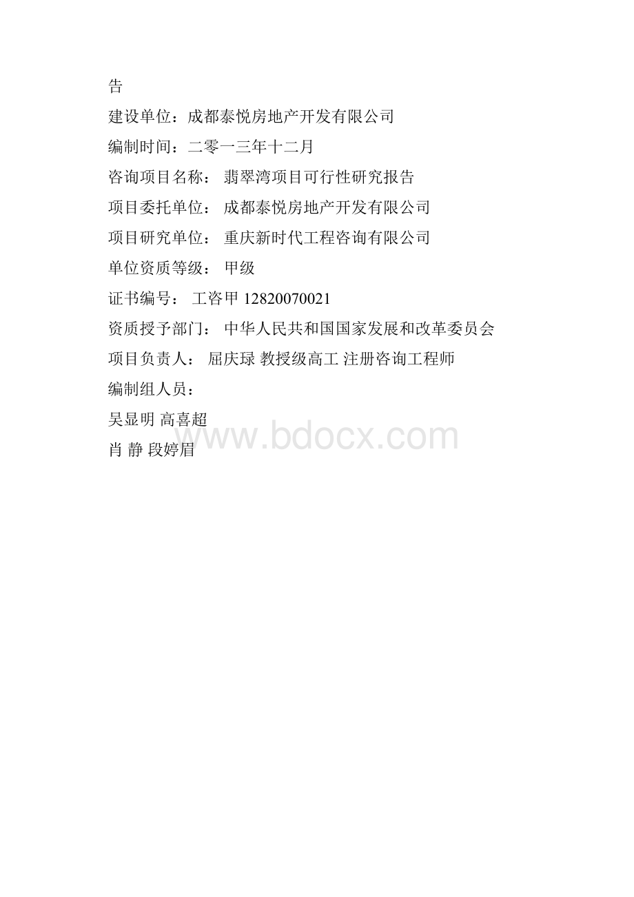 项目可行性研究报告.docx_第2页