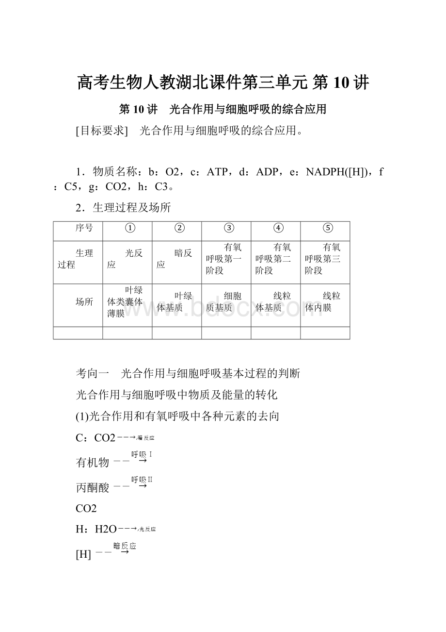 高考生物人教湖北课件第三单元 第10讲.docx