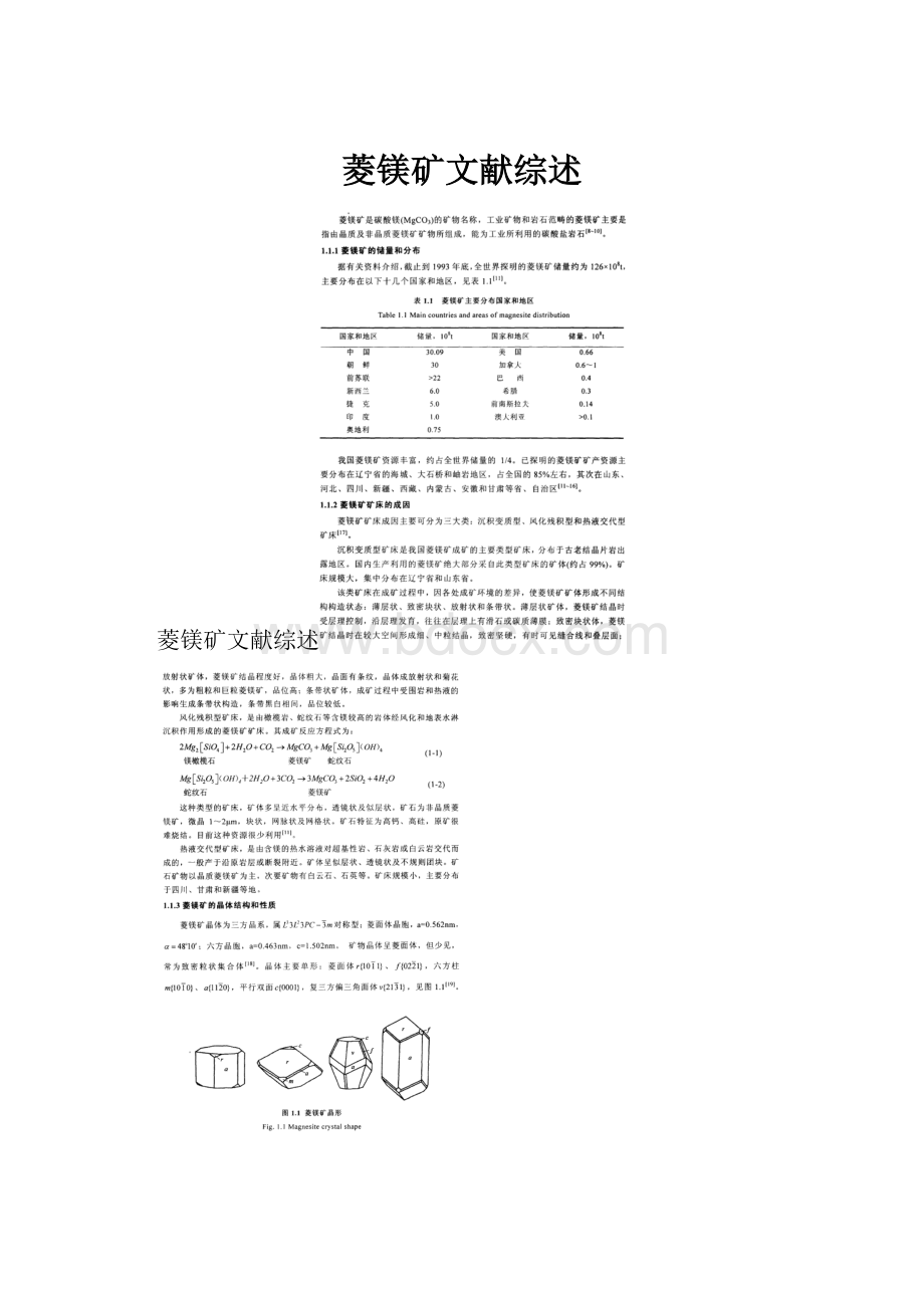 菱镁矿文献综述.docx