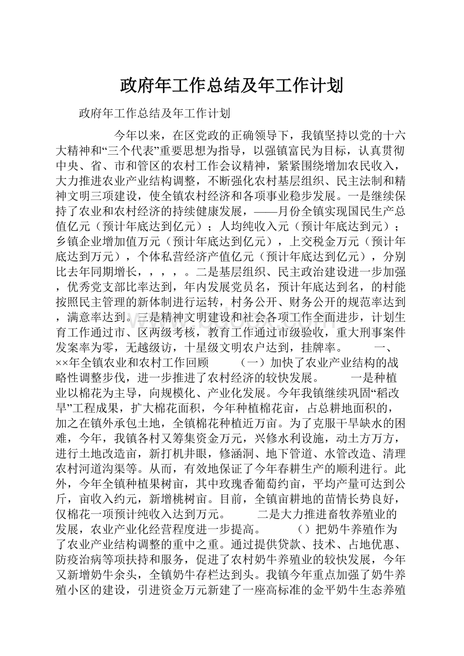 政府年工作总结及年工作计划.docx