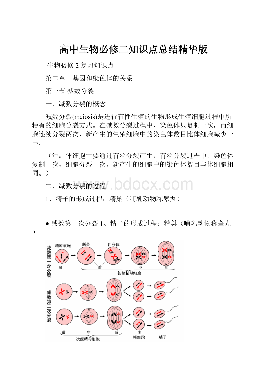 高中生物必修二知识点总结精华版.docx