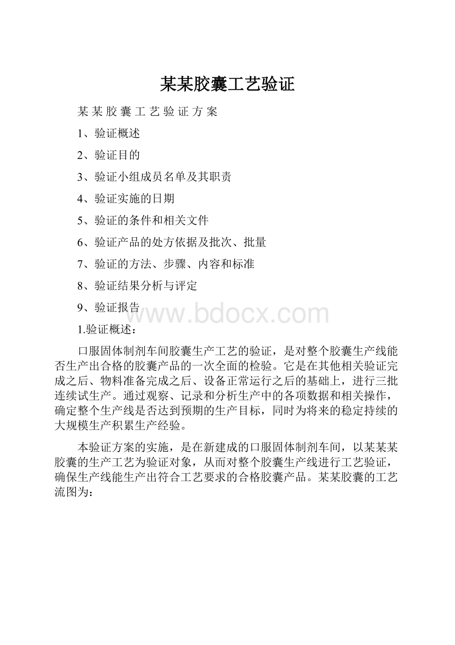 某某胶囊工艺验证.docx_第1页