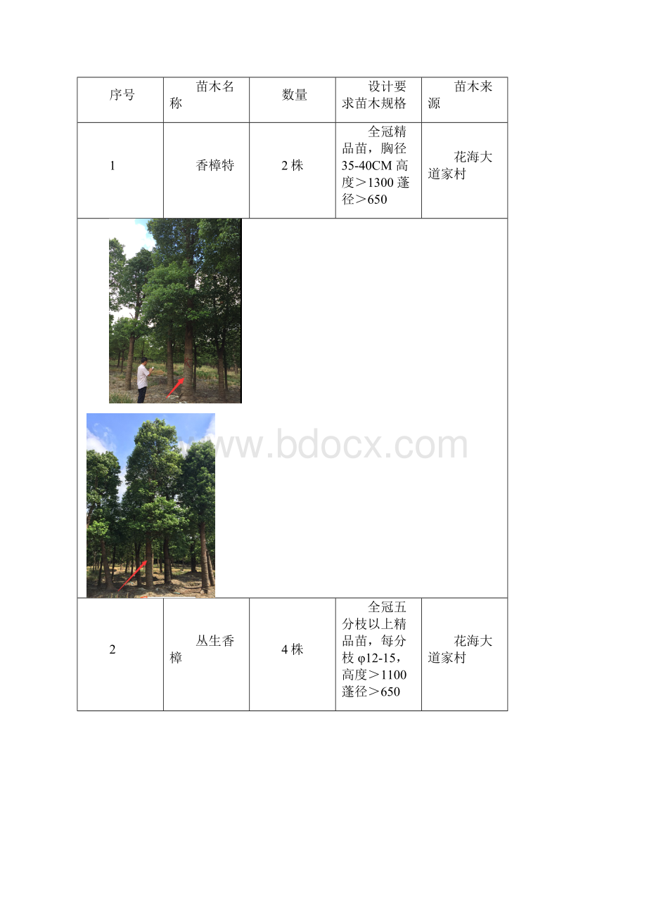 景观绿化苗木绿化进场前报验审批模板.docx_第2页