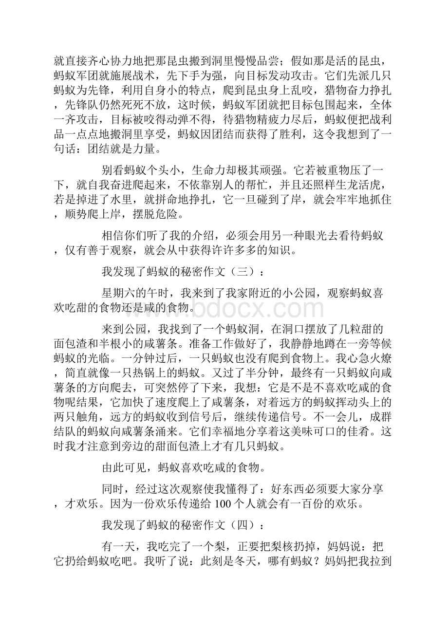 我发现了蚂蚁的秘密作文25篇.docx_第2页