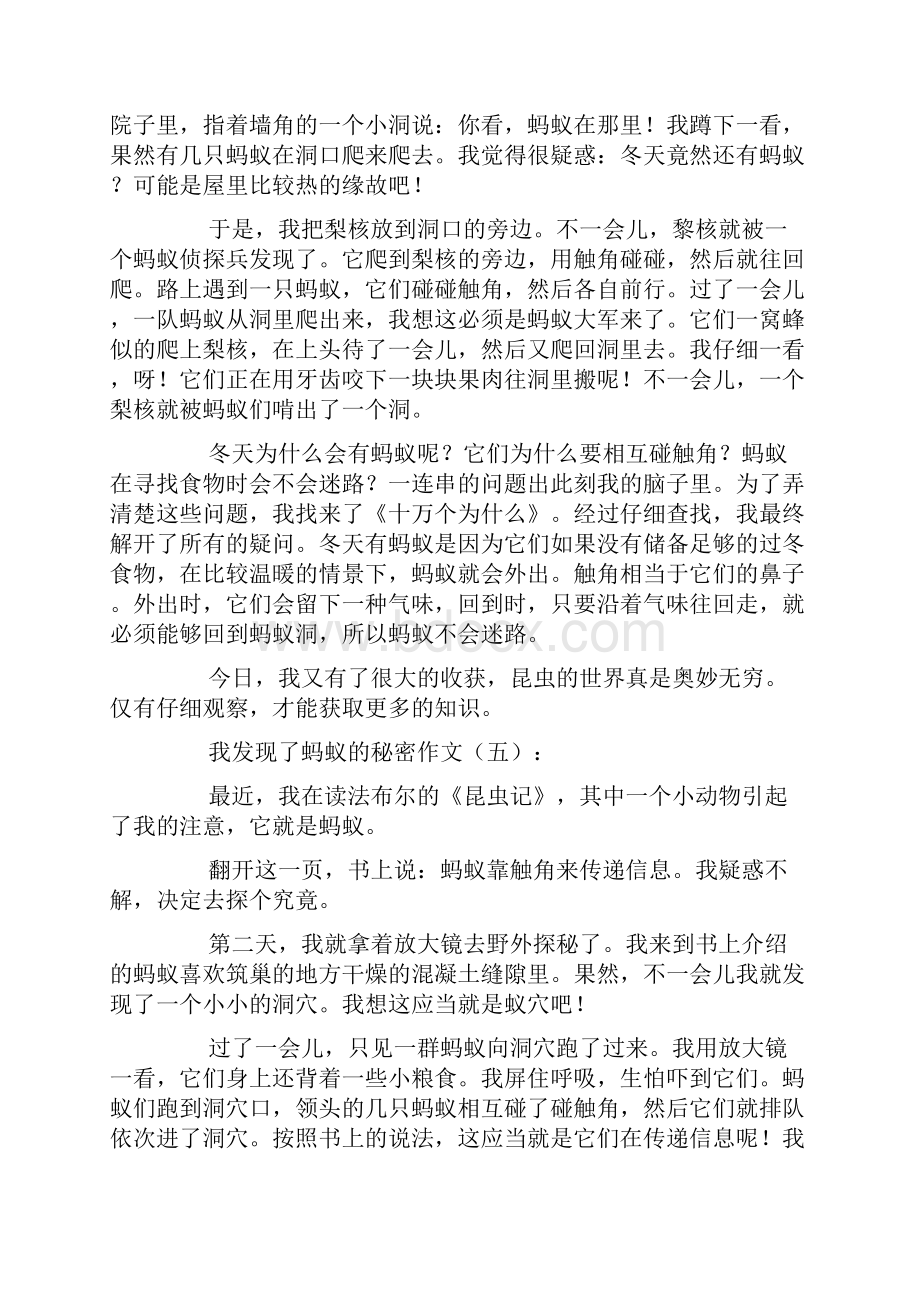 我发现了蚂蚁的秘密作文25篇.docx_第3页