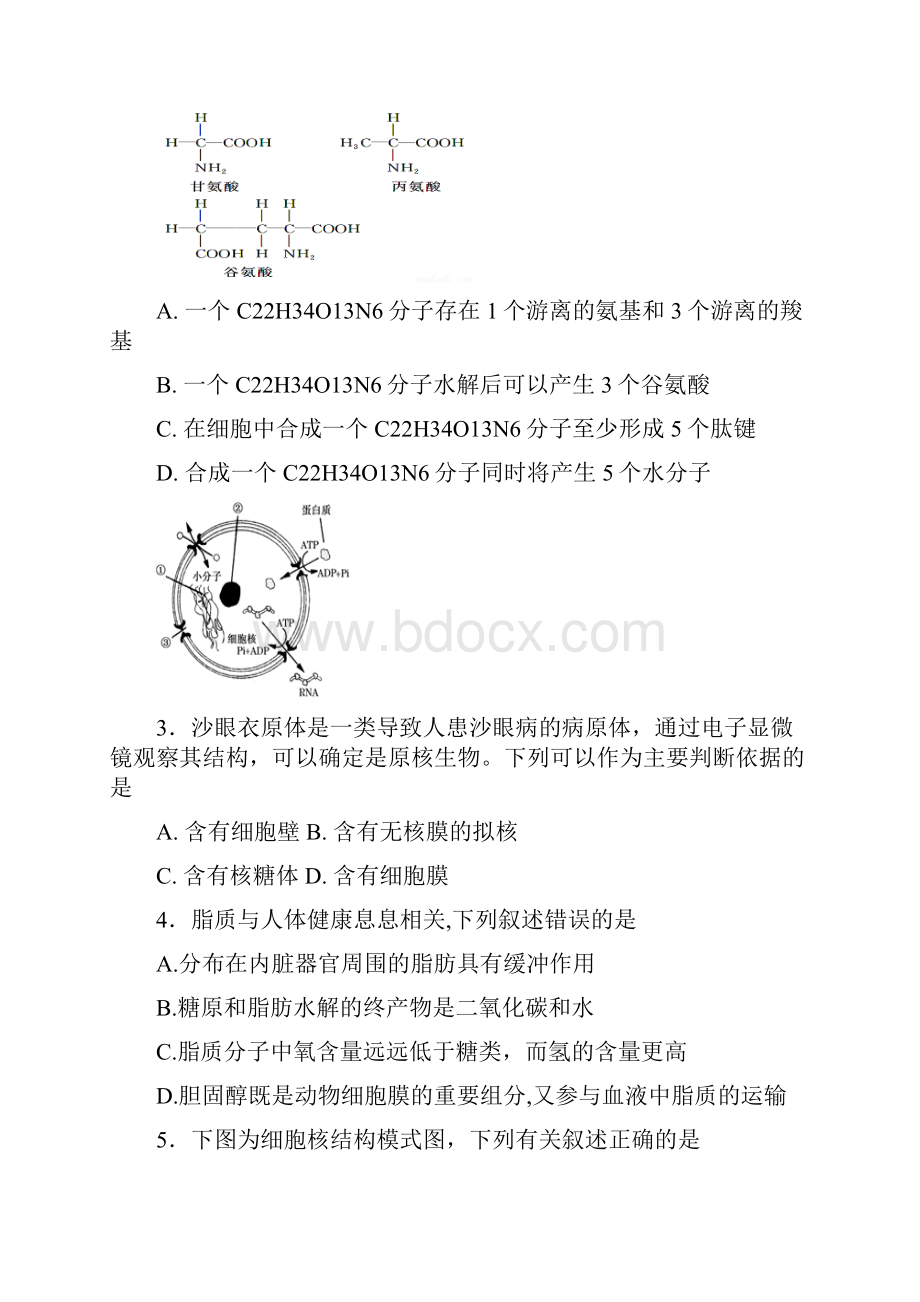 学年山东省滕州市第一中学高一月考期末模拟生物试题.docx_第2页