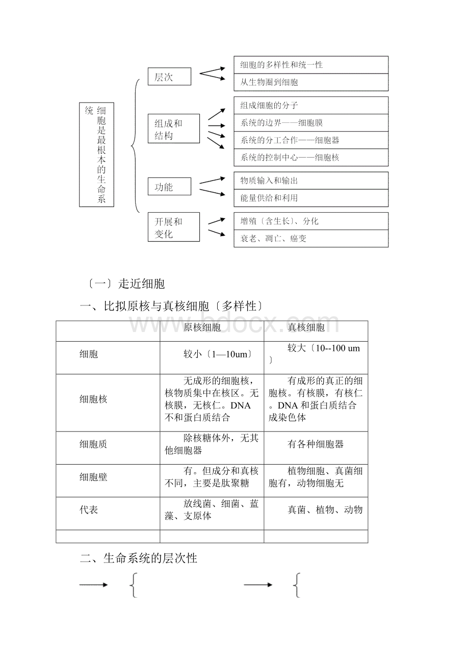 分子与细胞的知识结构.docx_第2页