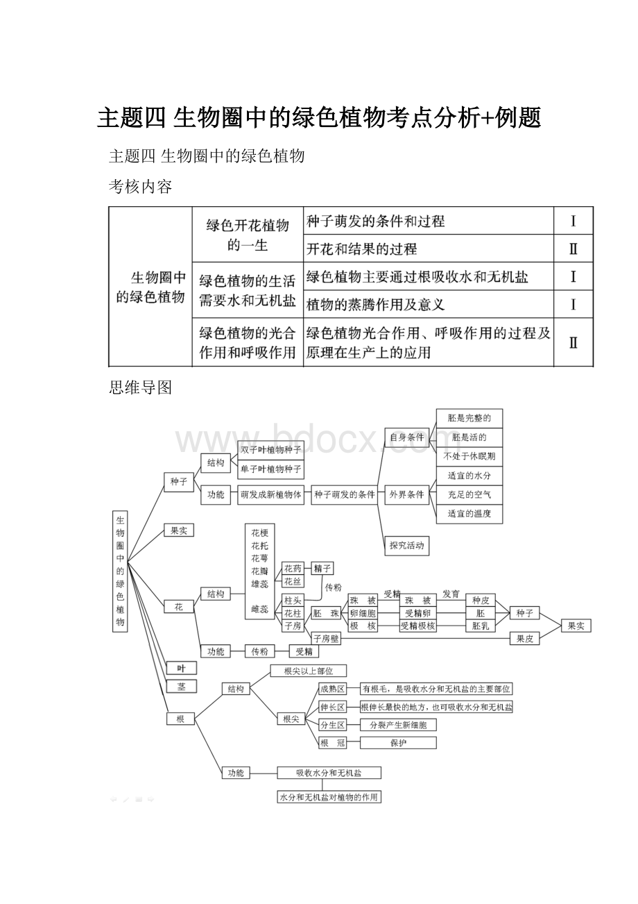 主题四 生物圈中的绿色植物考点分析+例题.docx_第1页