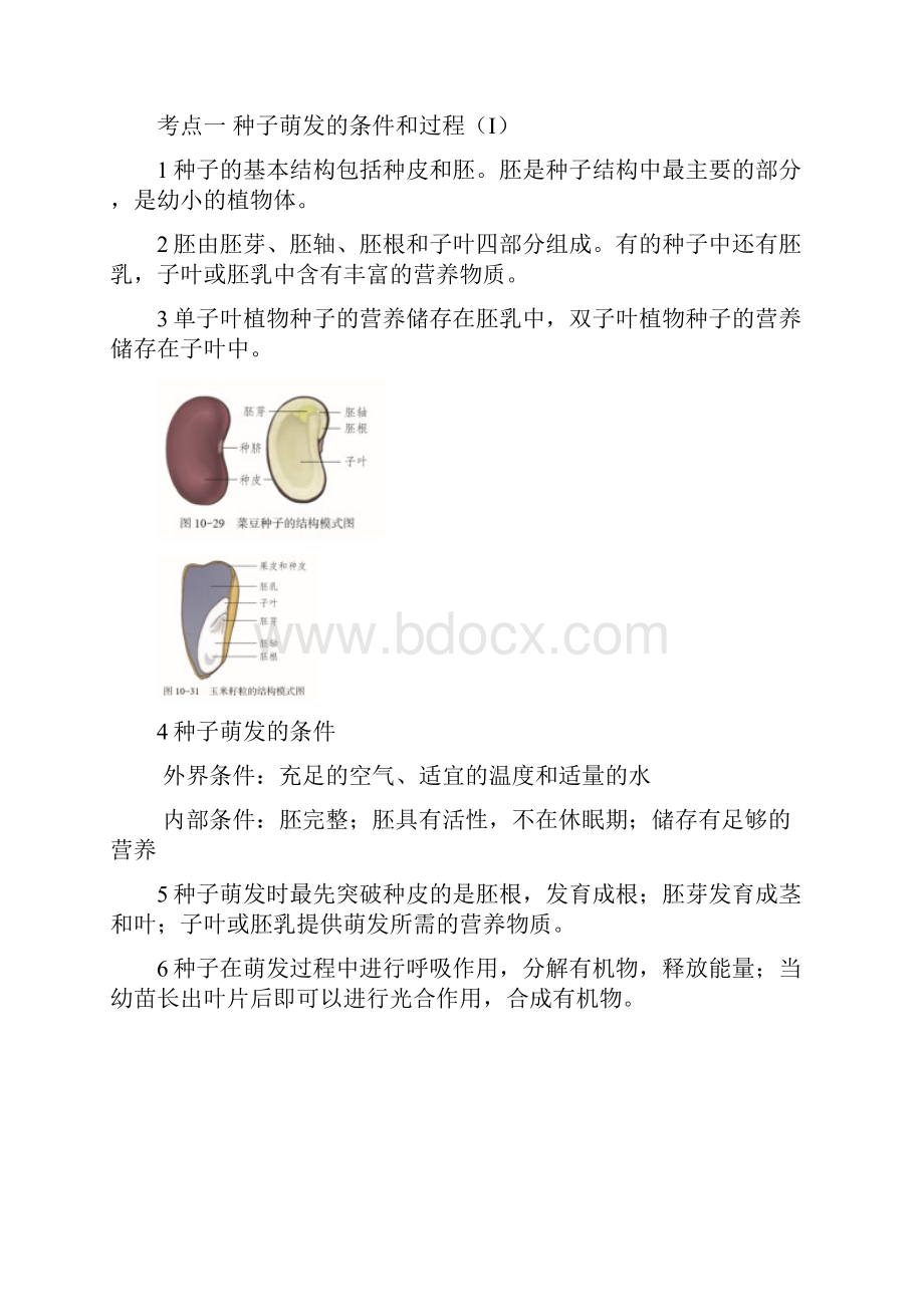 主题四 生物圈中的绿色植物考点分析+例题.docx_第2页