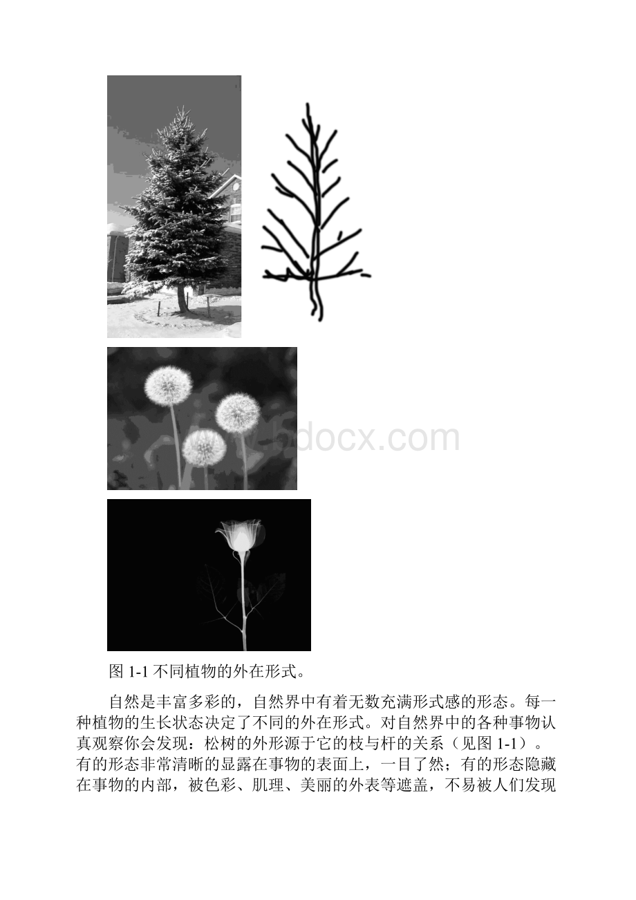 第三章结构素描.docx_第2页