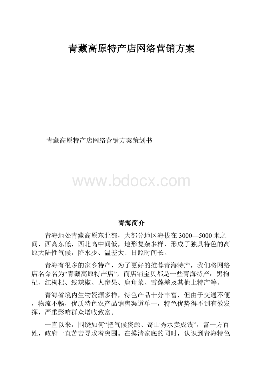 青藏高原特产店网络营销方案.docx