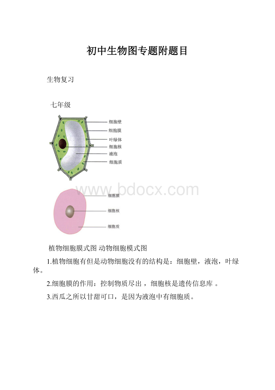 初中生物图专题附题目.docx