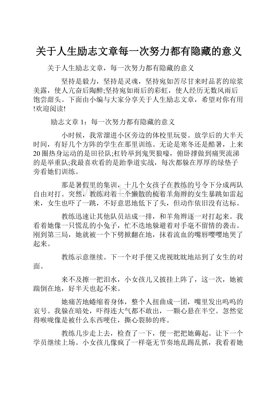 关于人生励志文章每一次努力都有隐藏的意义.docx