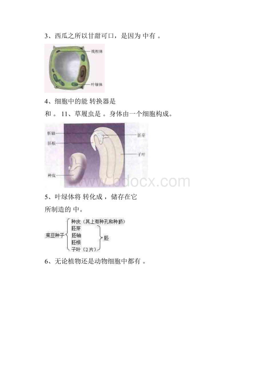 初中生物图片整理.docx_第2页