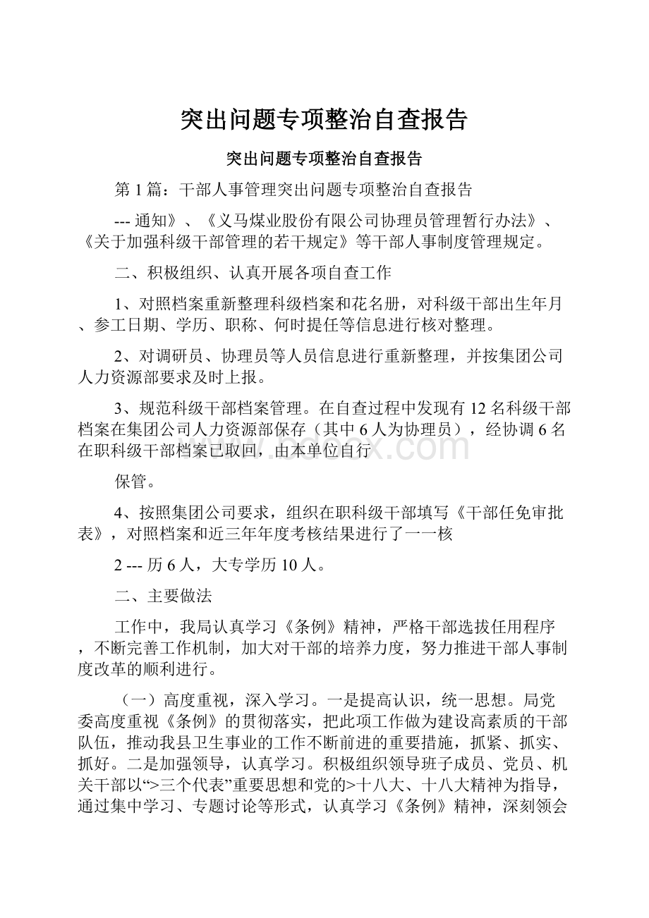 突出问题专项整治自查报告.docx_第1页