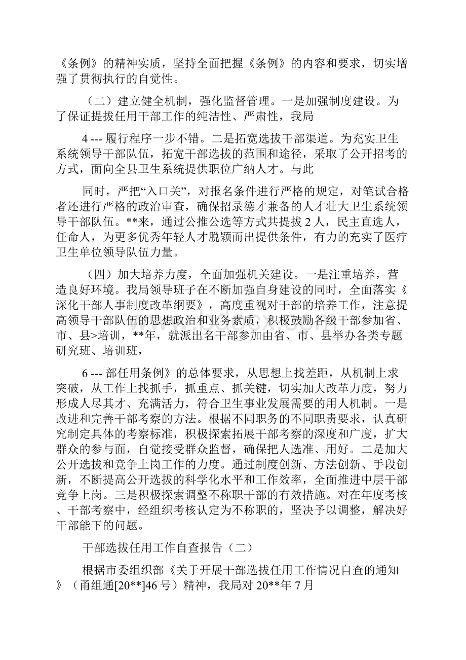 突出问题专项整治自查报告.docx_第2页