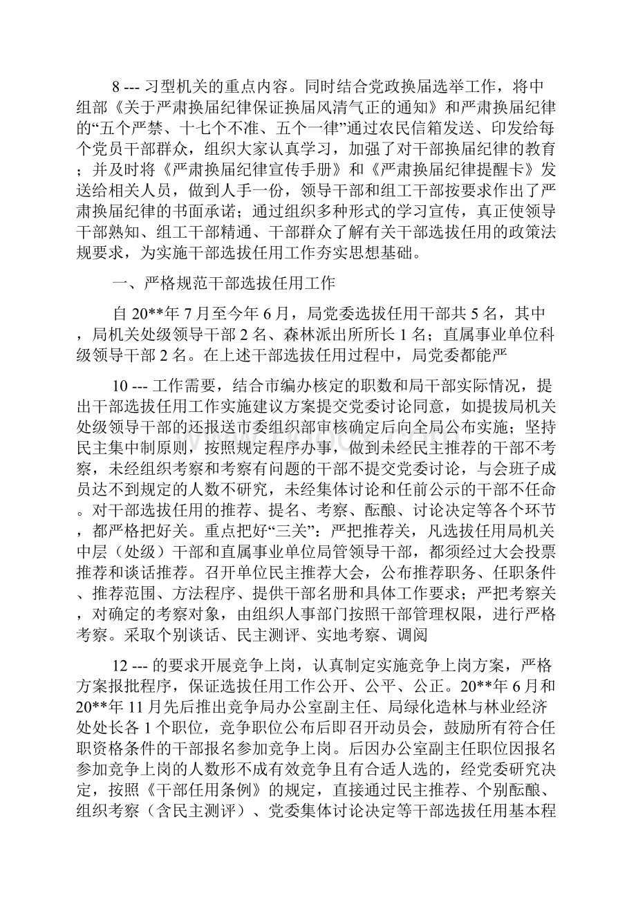 突出问题专项整治自查报告.docx_第3页