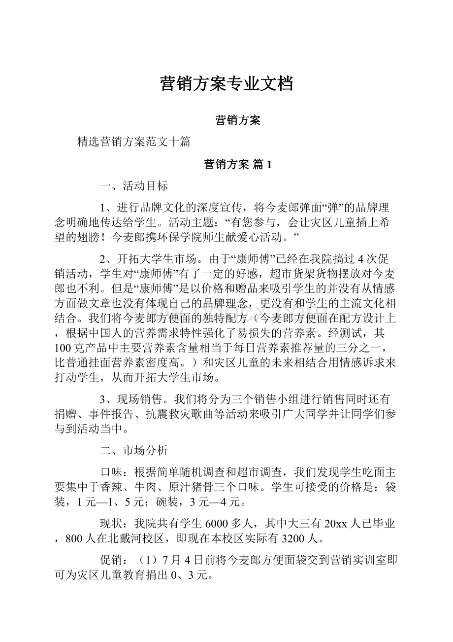 营销方案专业文档.docx