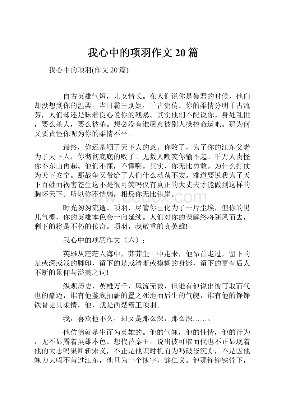 我心中的项羽作文20篇.docx