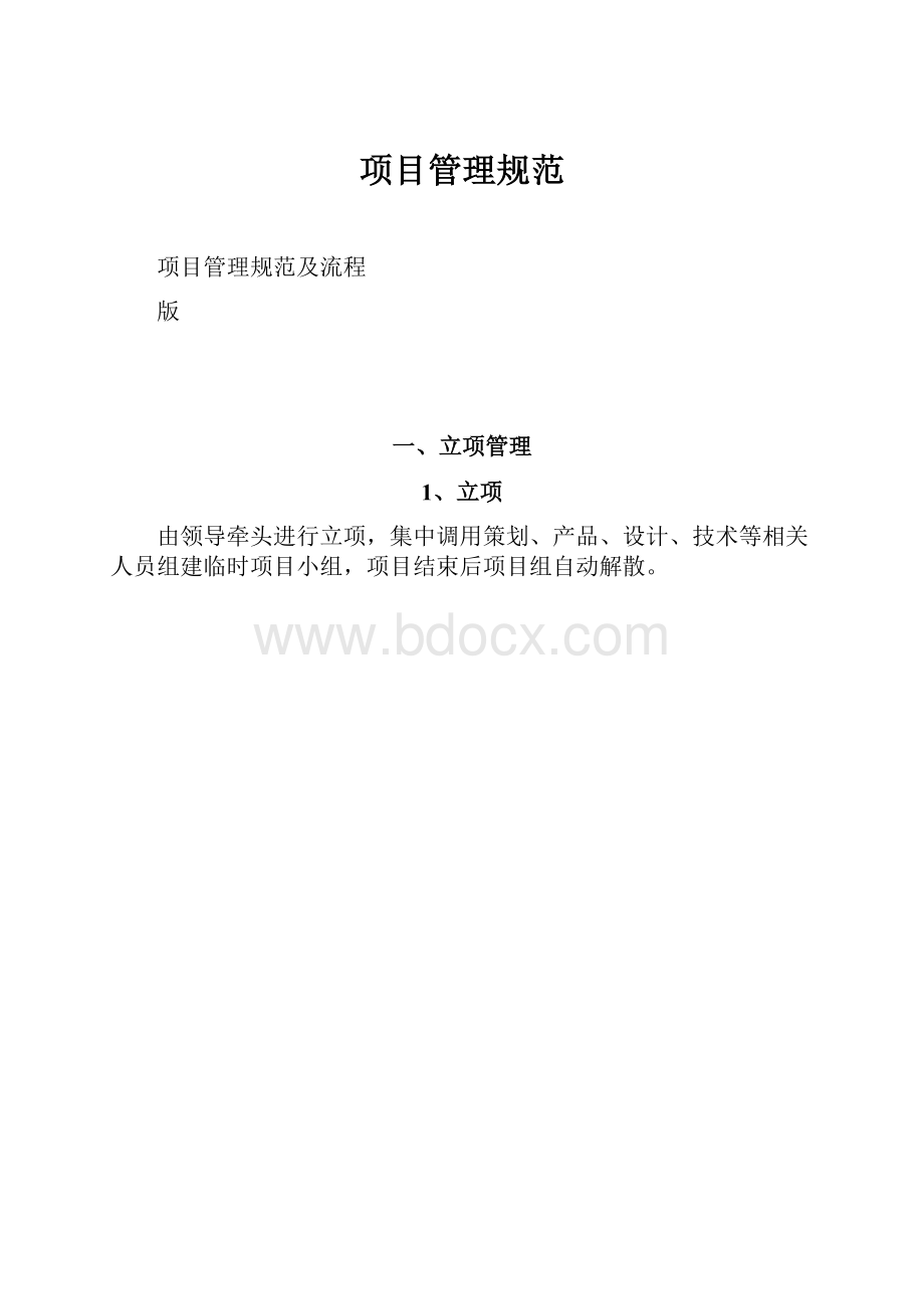 项目管理规范.docx