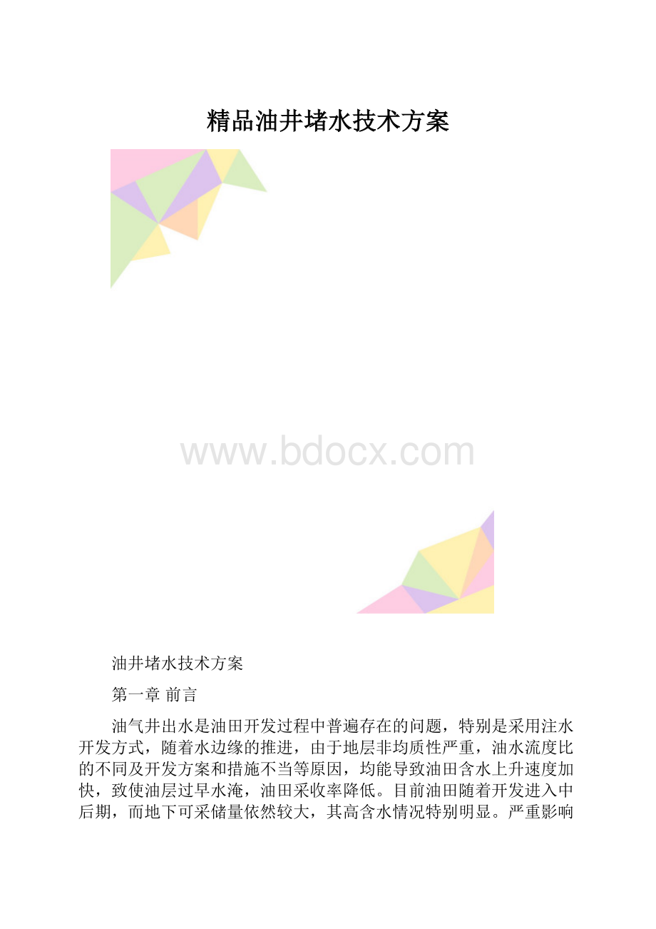 精品油井堵水技术方案.docx