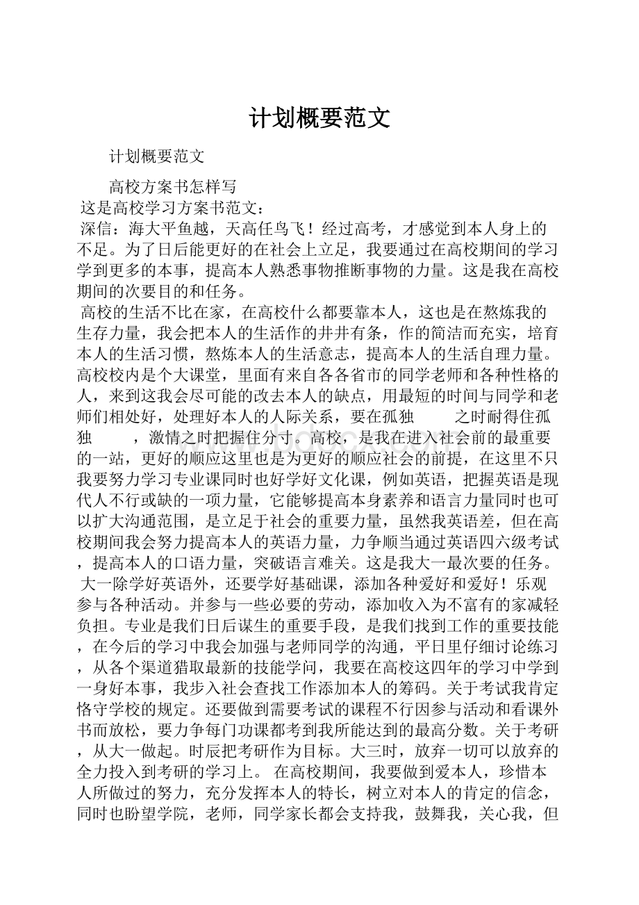 计划概要范文.docx_第1页