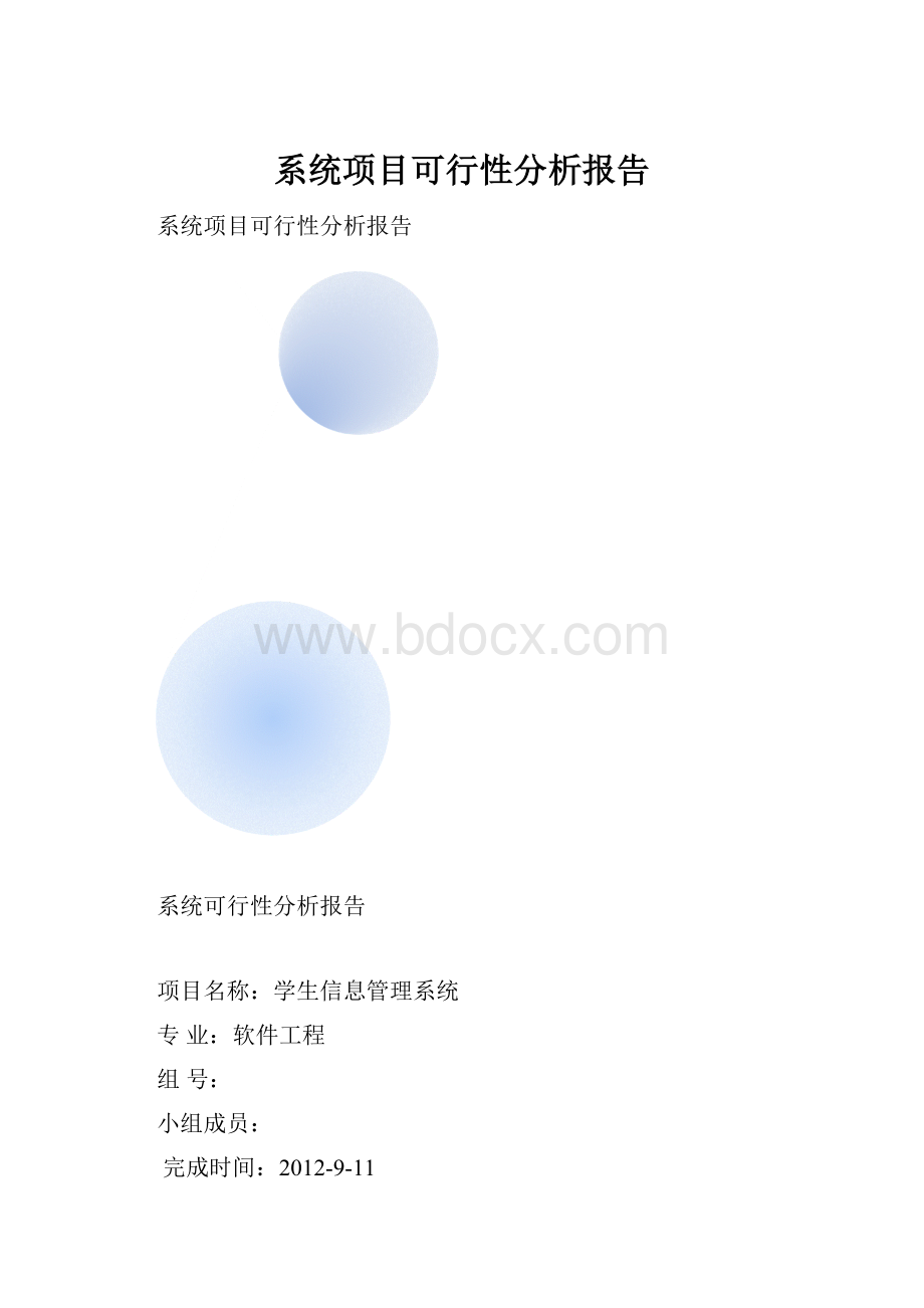 系统项目可行性分析报告.docx_第1页