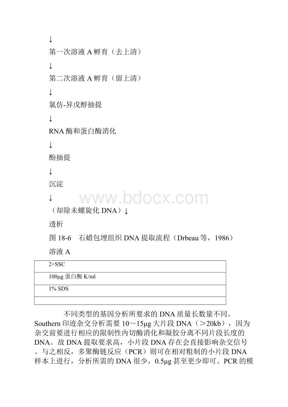 石蜡包埋组织的dna提取及其应用.docx_第3页