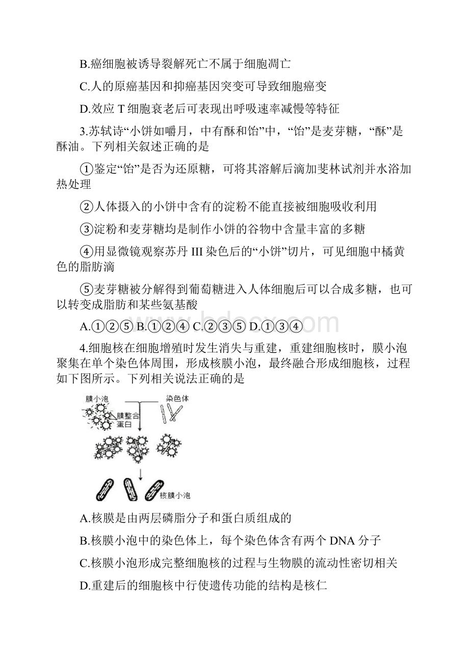 辽宁省丹东市届高三下学期总复习质量测试二二模 生物含答案.docx_第2页