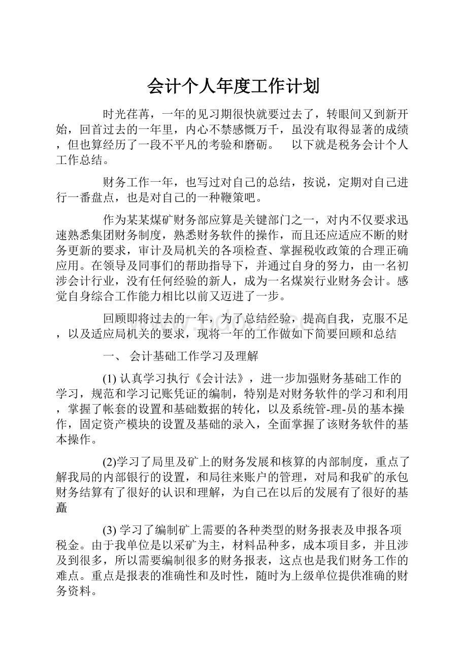 会计个人年度工作计划.docx_第1页