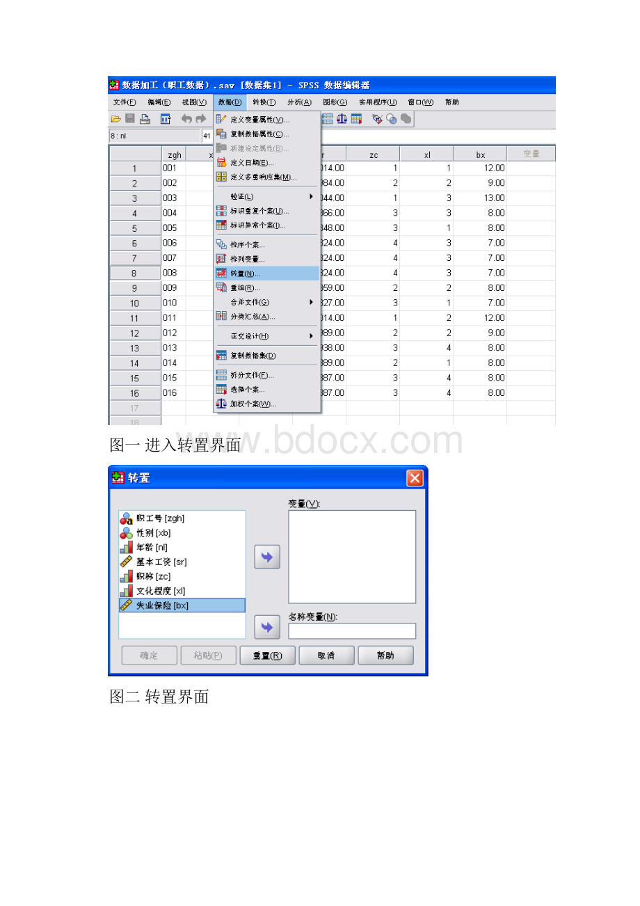 spss基本描述性统计实验指导.docx_第2页