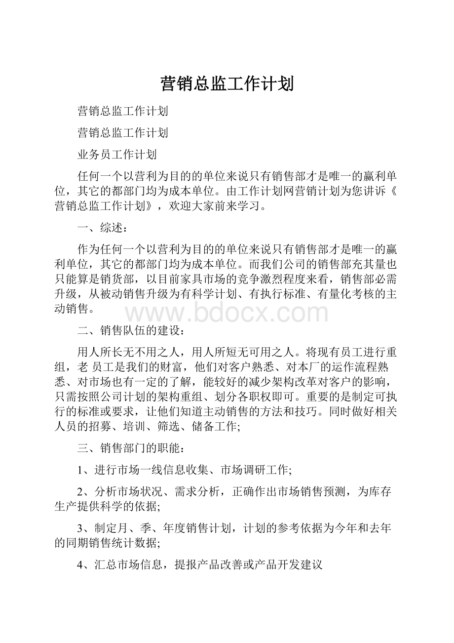 营销总监工作计划.docx