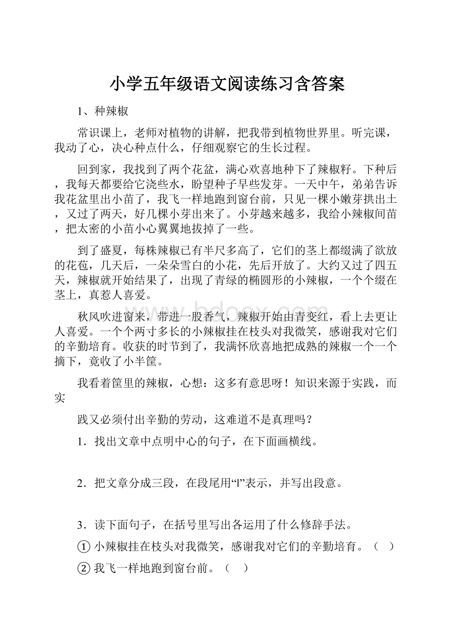 小学五年级语文阅读练习含答案.docx