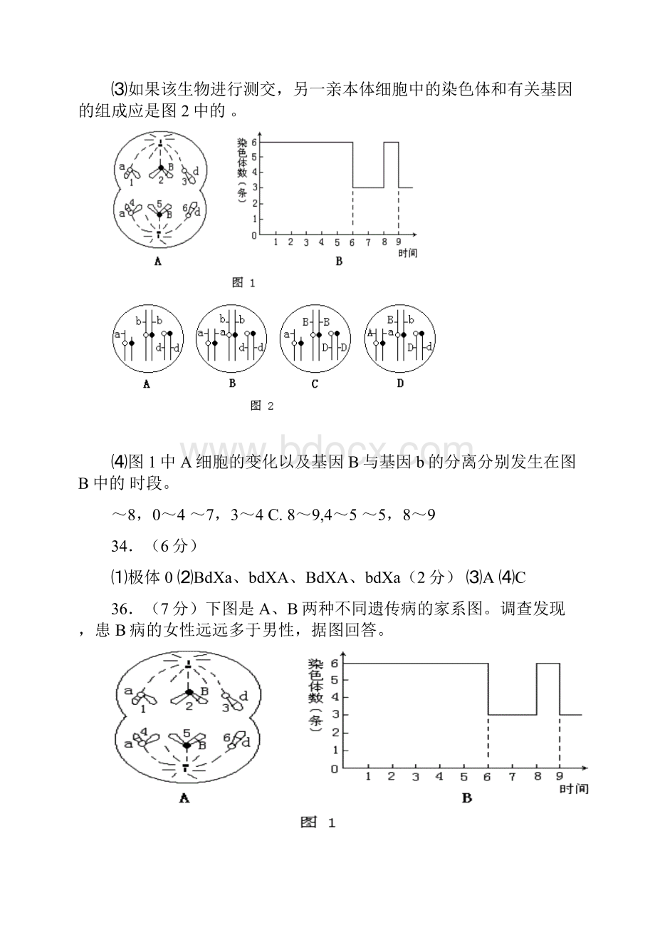 遗传练习题.docx_第3页