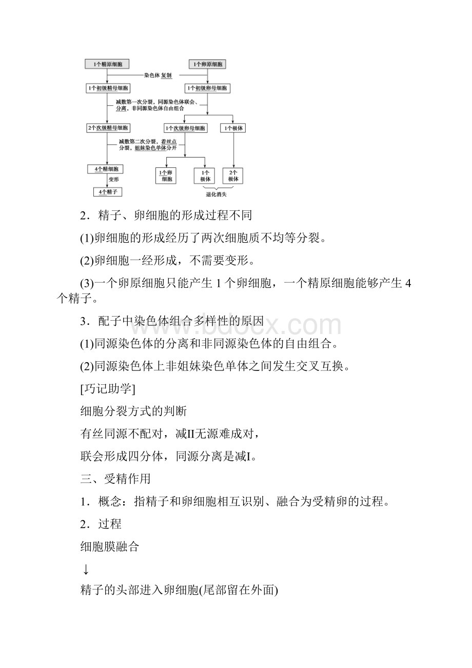 高考生物一轮复习第四单元细胞的生命历程第二讲减数分裂和受精作用学案新人教版.docx_第3页