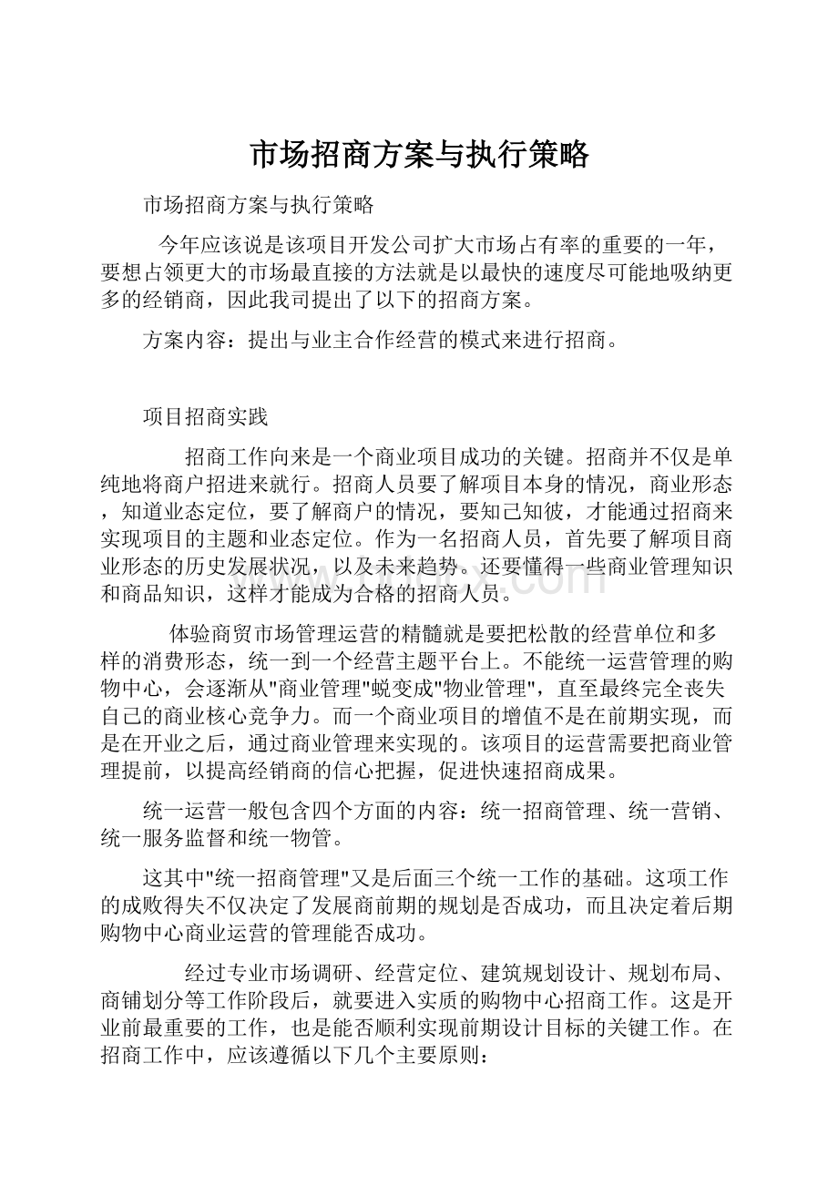 市场招商方案与执行策略.docx_第1页