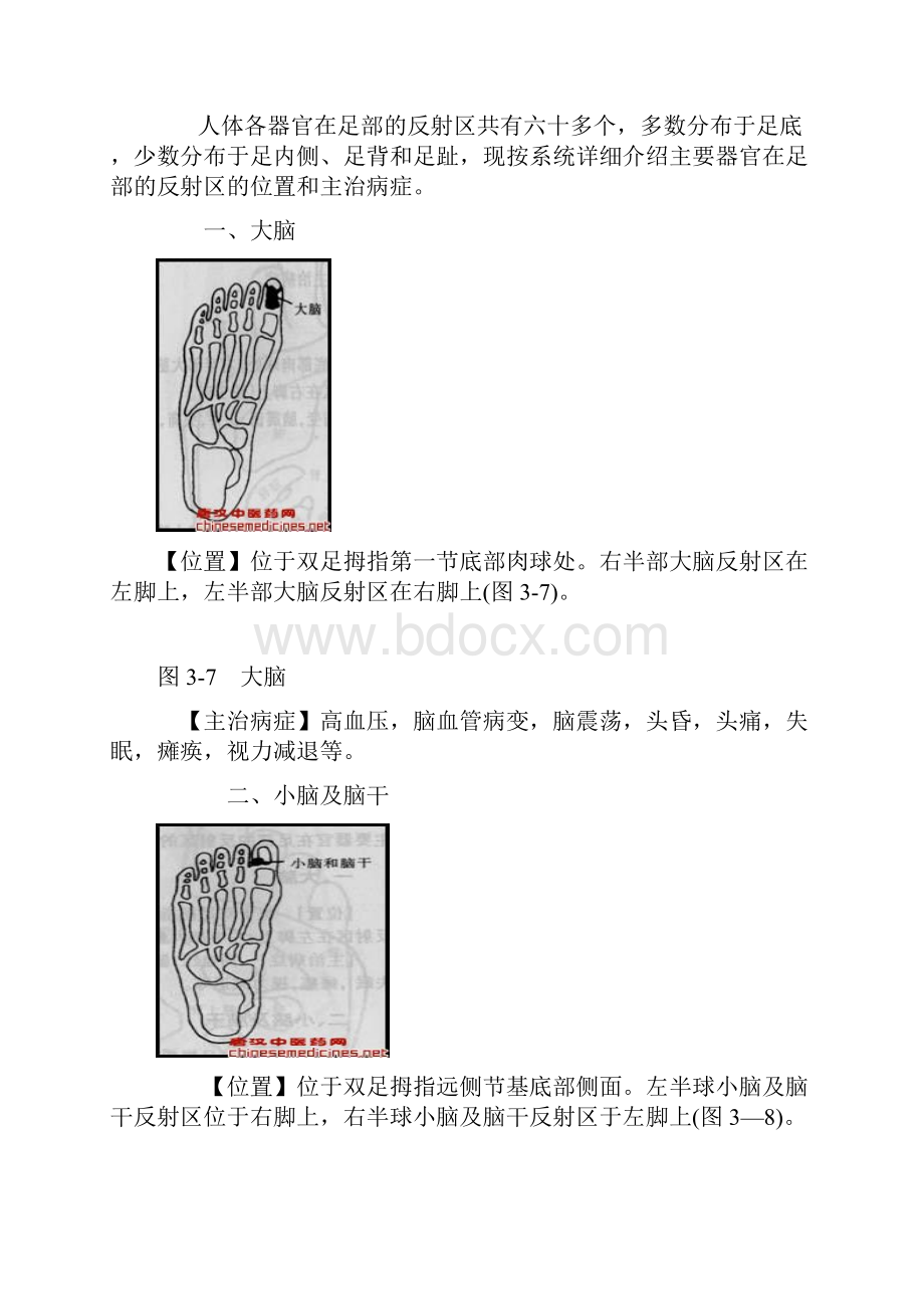 足底推拿疗法69个足部反射区配图.docx_第2页