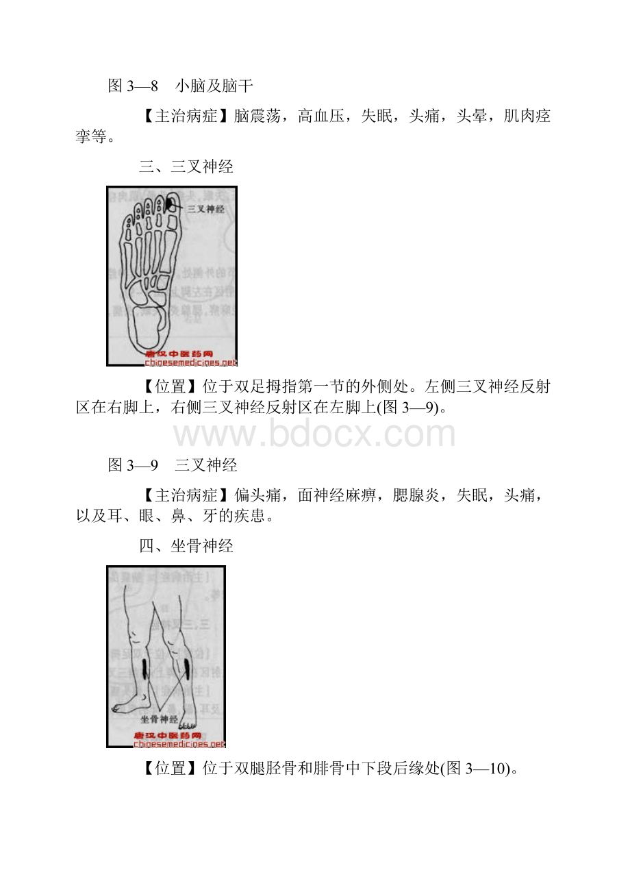 足底推拿疗法69个足部反射区配图.docx_第3页