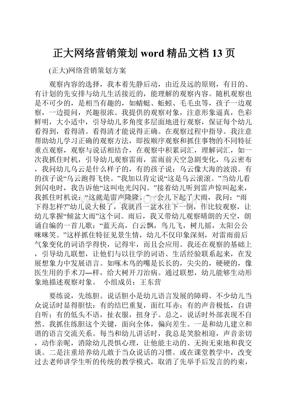 正大网络营销策划word精品文档13页.docx_第1页