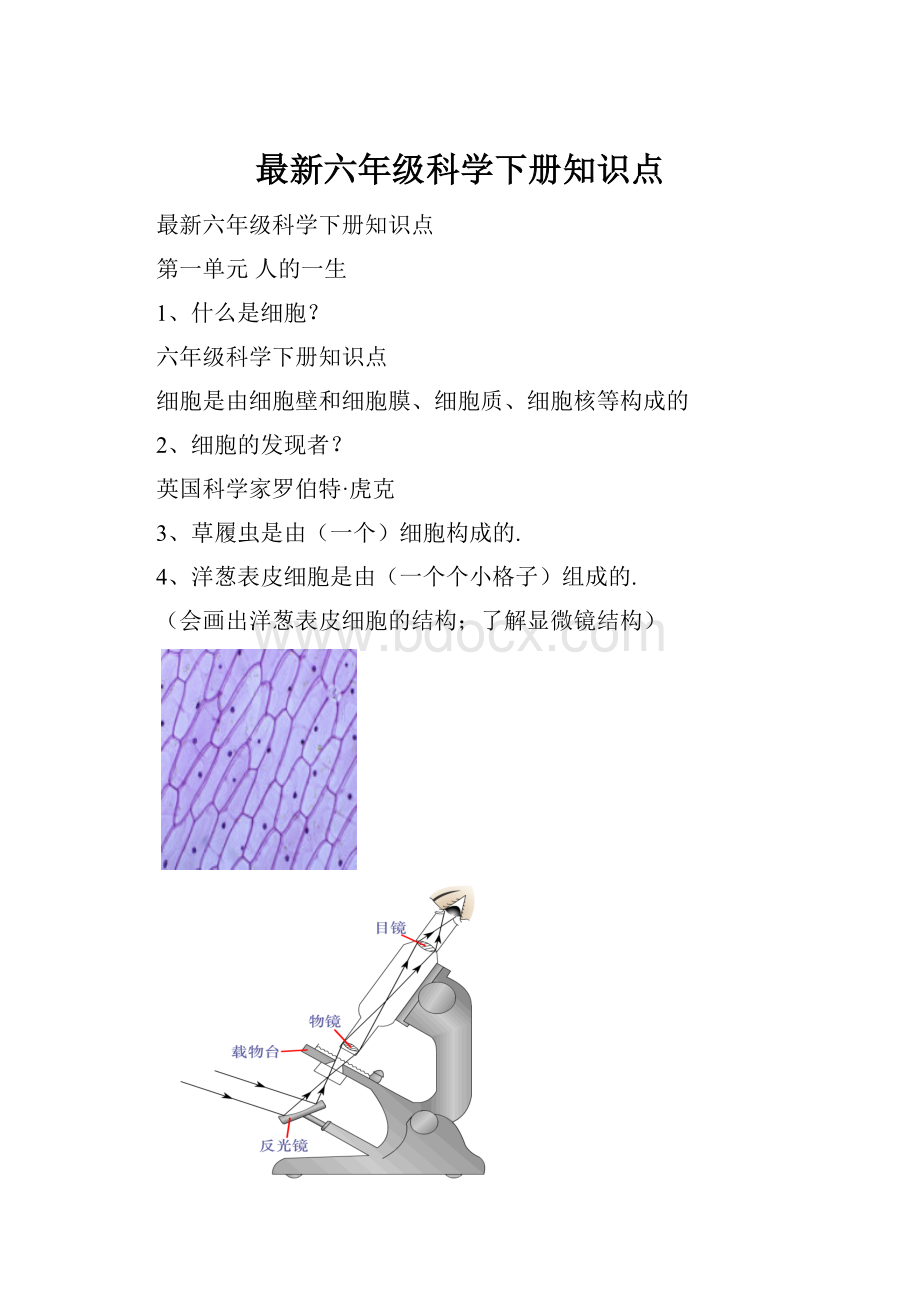 最新六年级科学下册知识点.docx