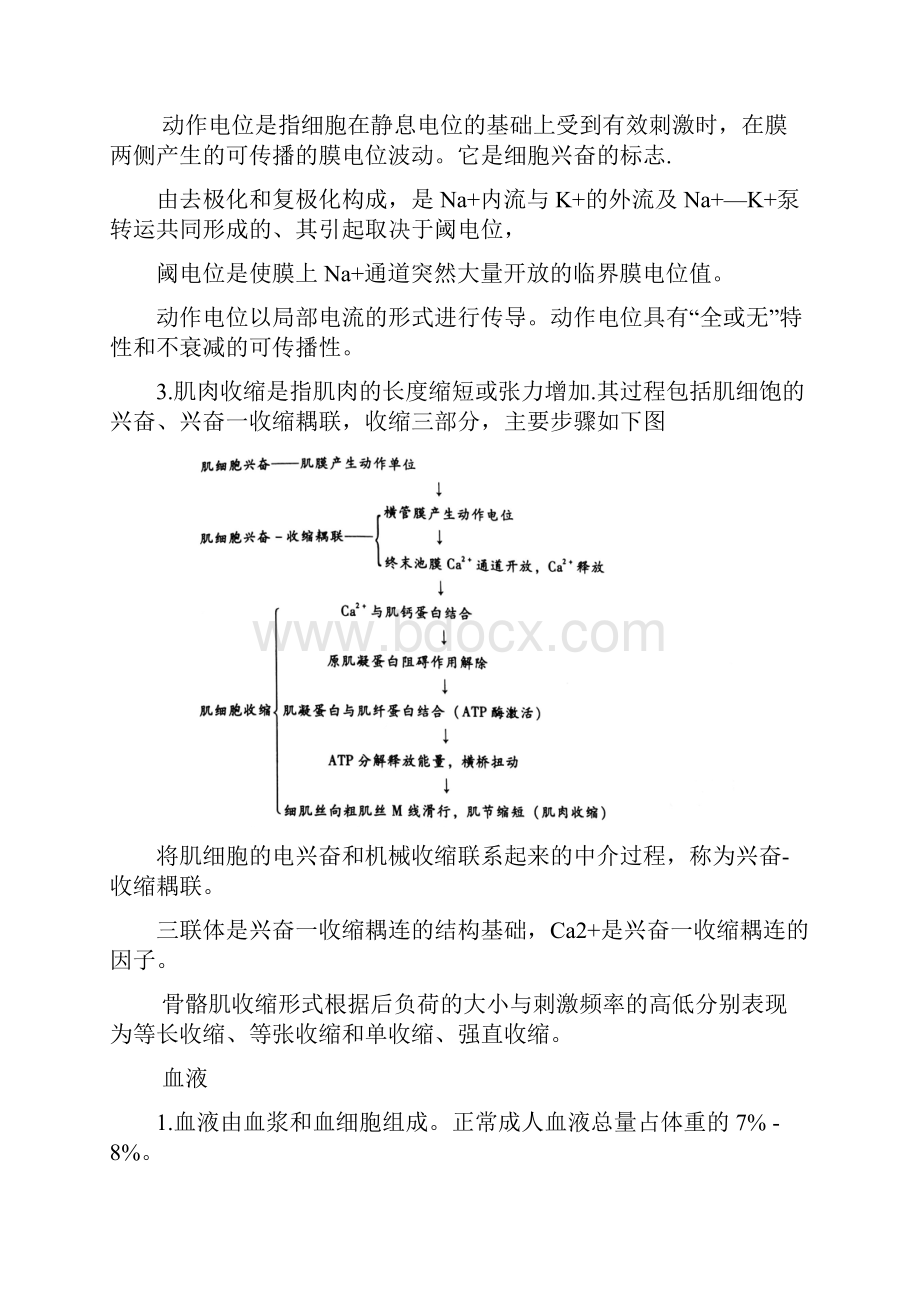 《生理学》各章知识点 总结.docx_第3页