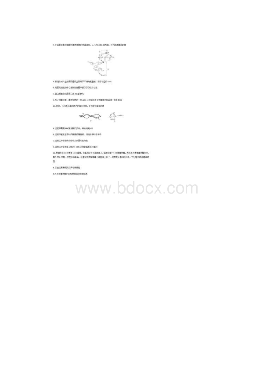 湖北省仙桃天门潜江学年高一生物下学期期末考试试题含答案.docx_第3页