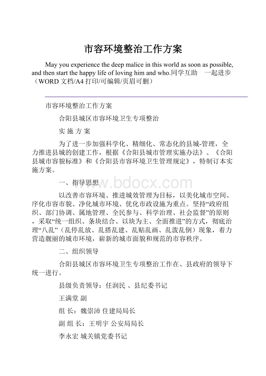 市容环境整治工作方案.docx