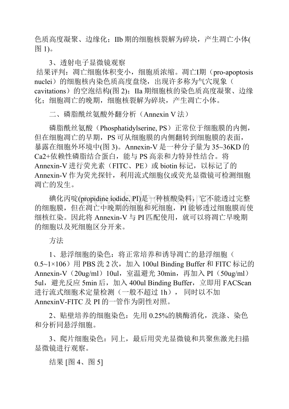 常用细胞凋亡检测方法图.docx_第2页